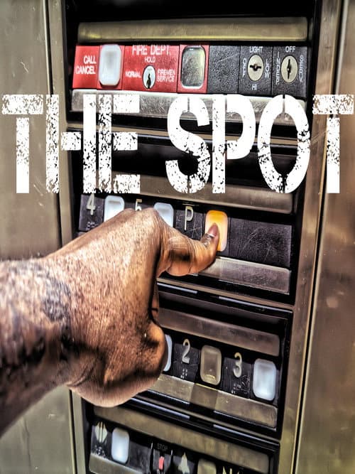 Poster for The Spot