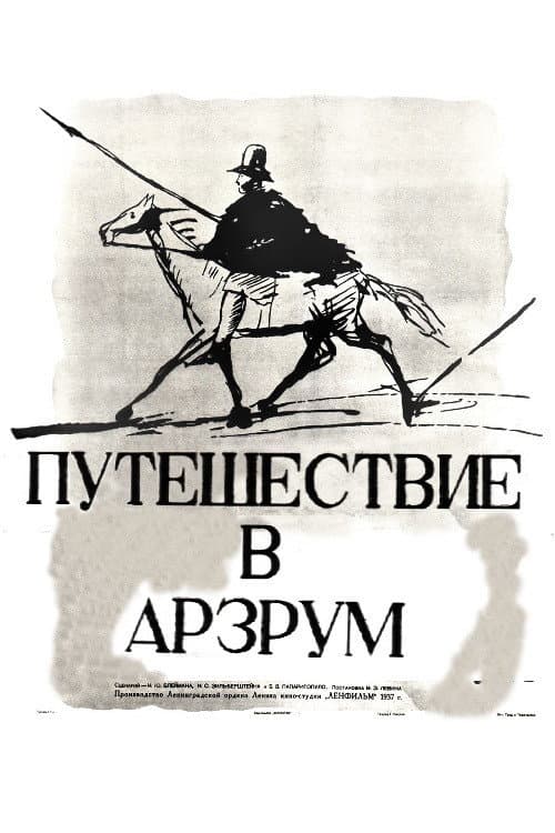 Poster for Trip to Erzurum