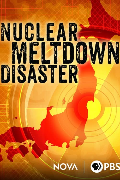 Poster for Nuclear Meltdown Disaster