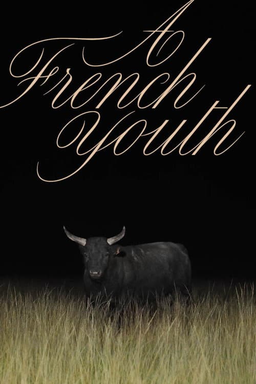 Poster for A French Youth