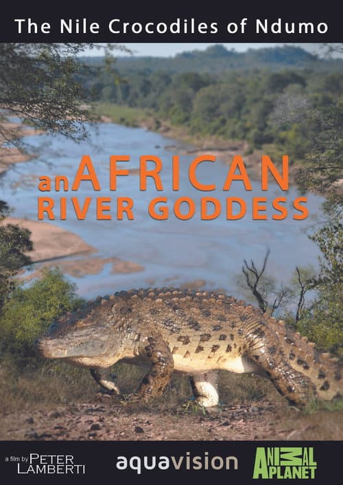 Poster for River Dragons of Ndumo