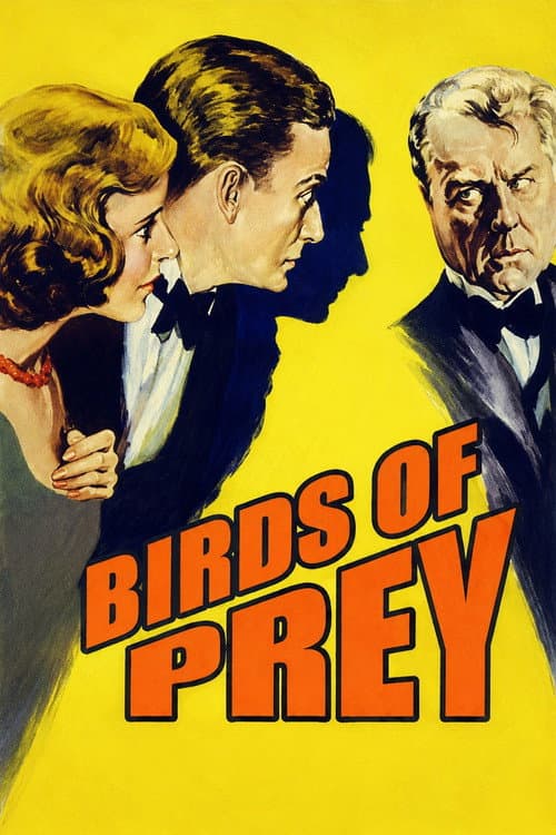 Poster for Birds of Prey