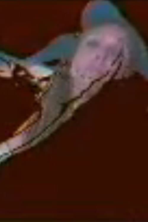 Poster for Autovideato