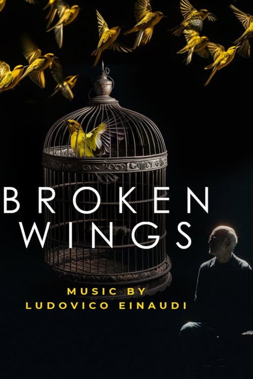Poster for Broken Wings