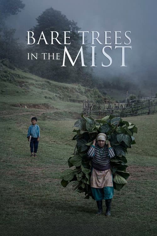Poster for Bare Trees in the Mist