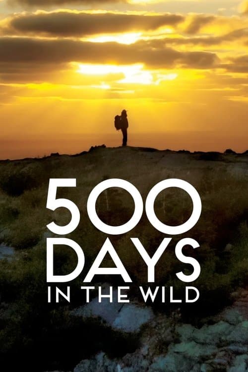 Poster for 500 Days in the Wild