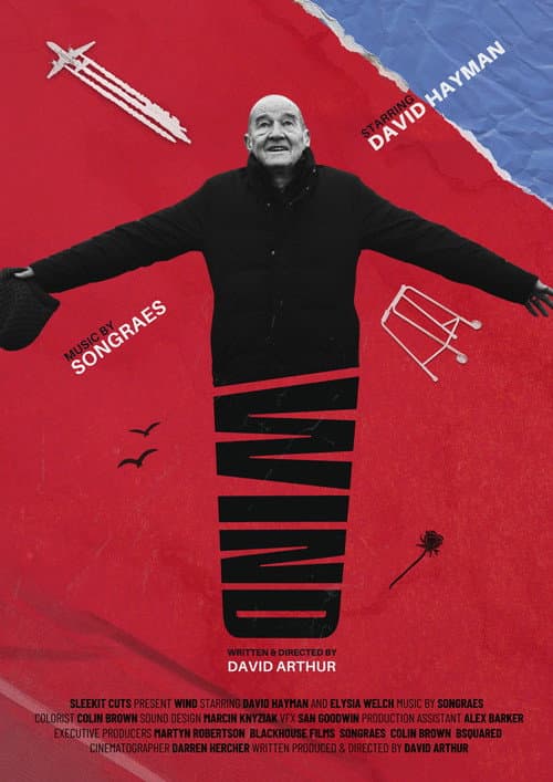 Poster for Wind