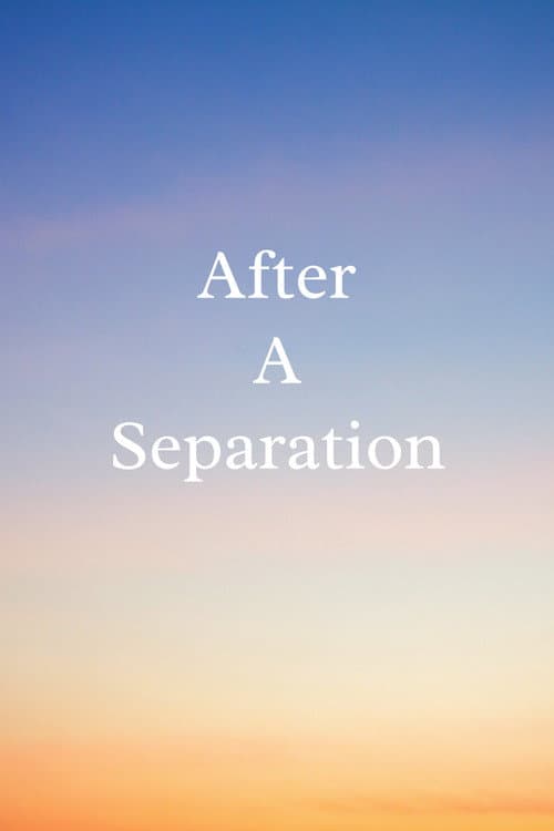 Poster for After a Separation