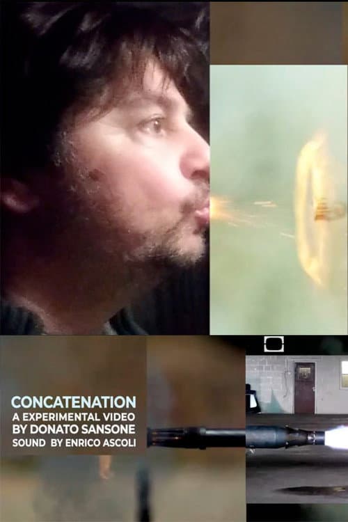 Poster for Concatenation