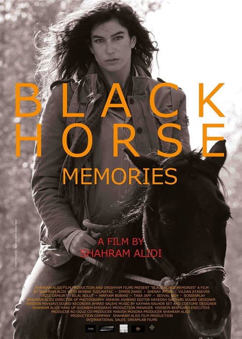 Poster for Black Horse Memories