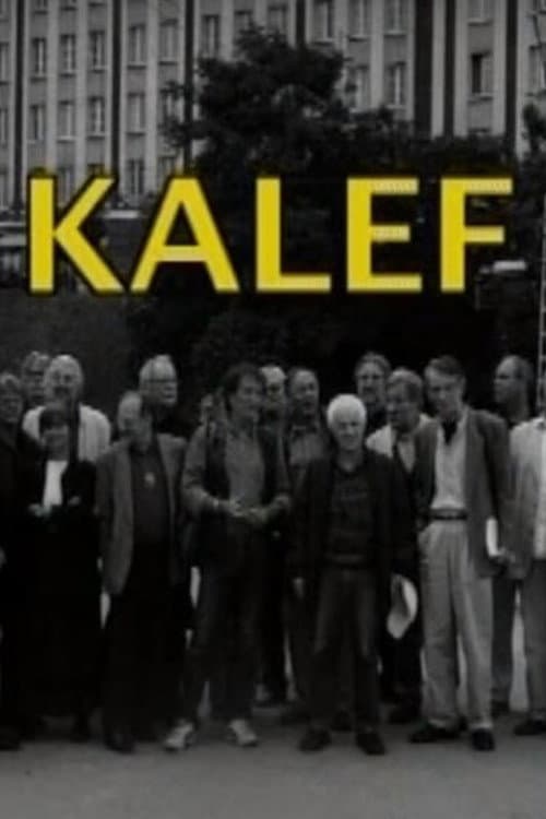 Poster for Kalef - A Moszkva téri galeri