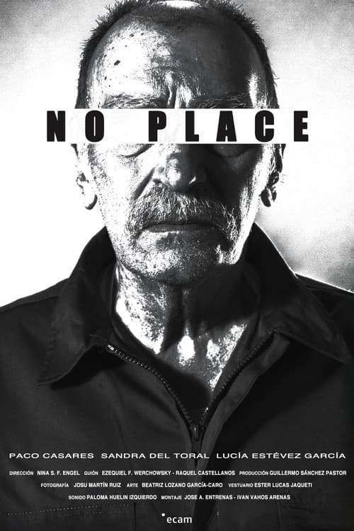 Poster for No Place