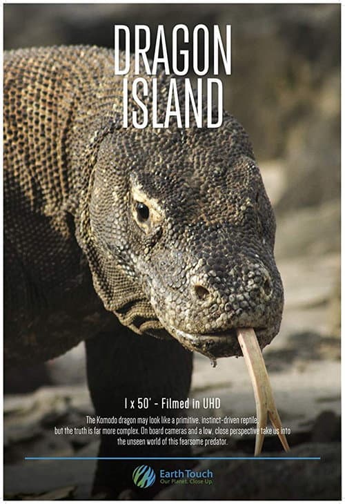 Poster for Dragon Island