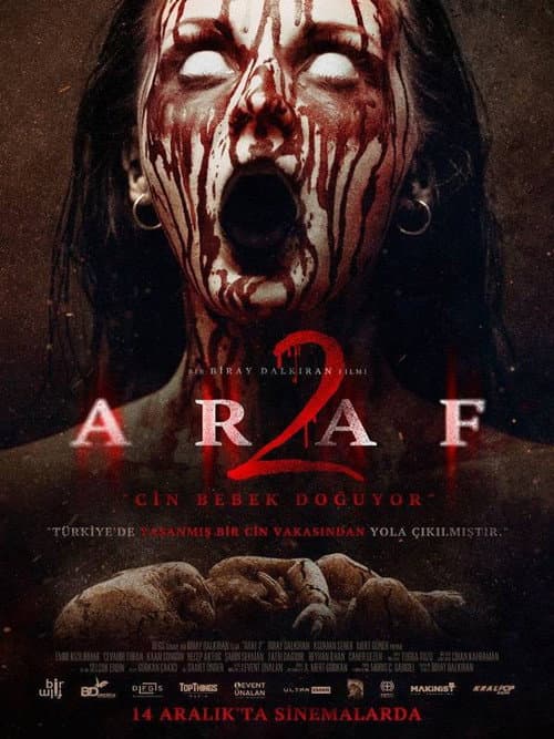 Poster for Araf 2
