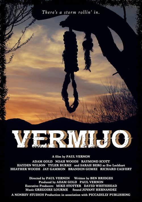 Poster for Vermijo