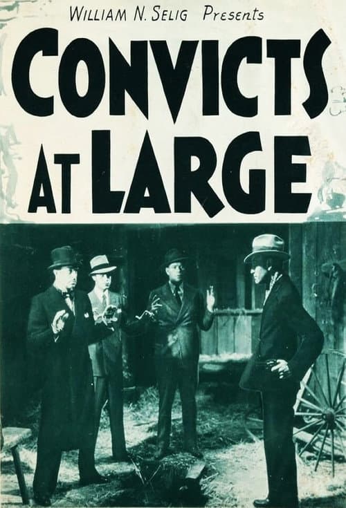 Poster for Convicts at Large