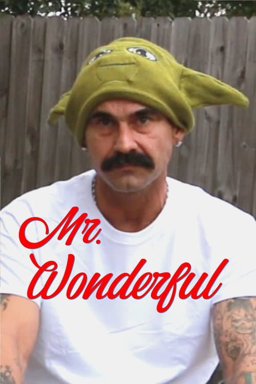 Poster for Mr. Wonderful