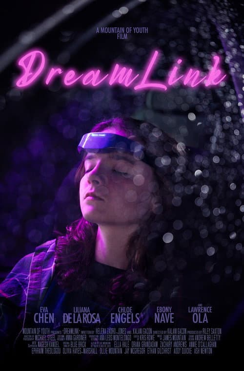 Poster for Dreamlink