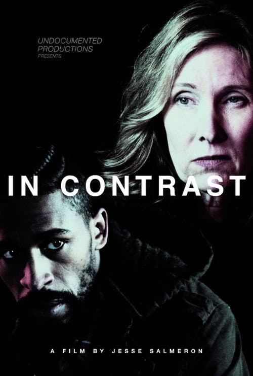 Poster for In Contrast