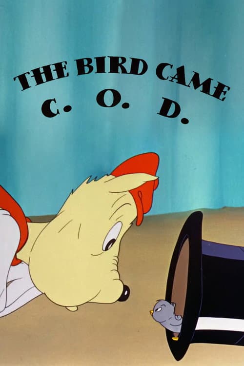 Постер до фільму «The Bird Came C.O.D.»