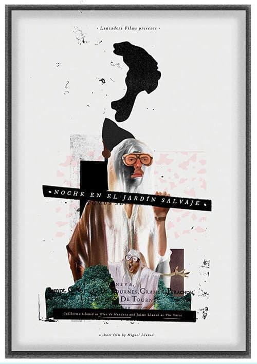 Poster for Night in the Wild Garden