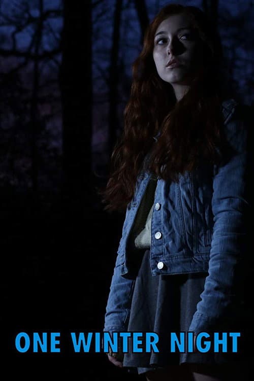 Poster for One Winter Night