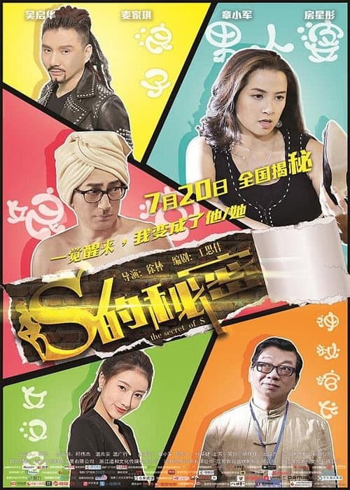 Poster for S的秘密