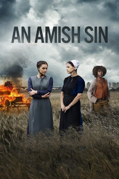 Poster for An Amish Sin
