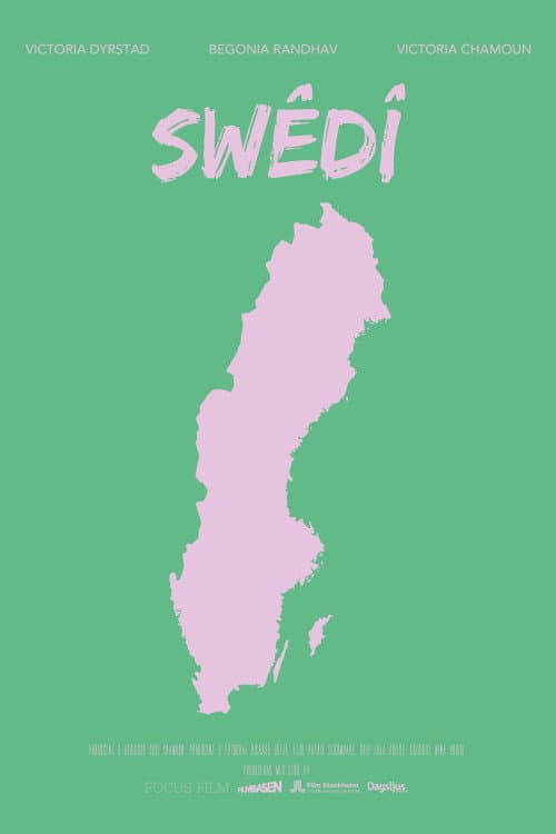 Poster for Swêdî