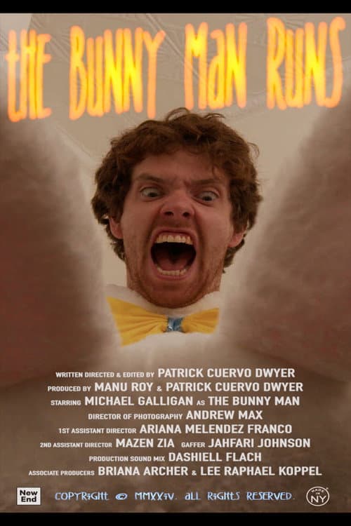 Poster for The Bunny Man Runs