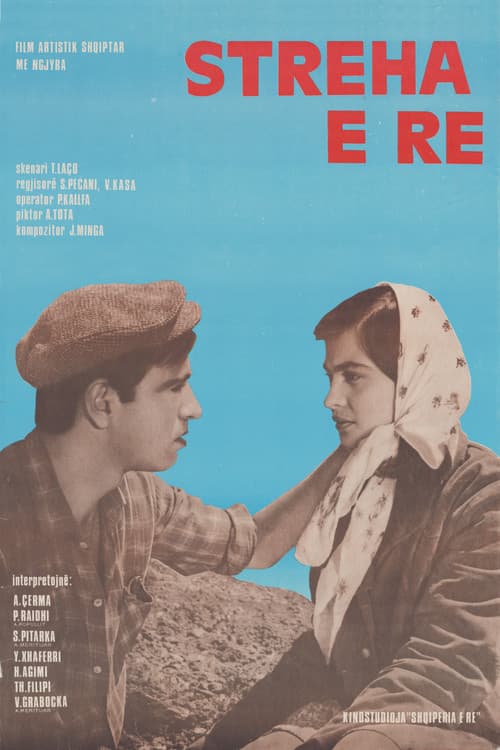 Poster for The New Shelter