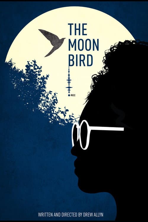 Poster for The Moon Bird