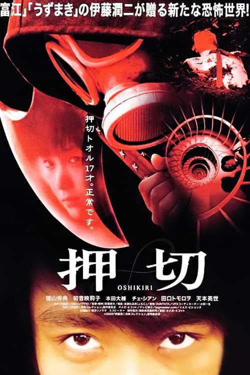 Poster for Oshikiri