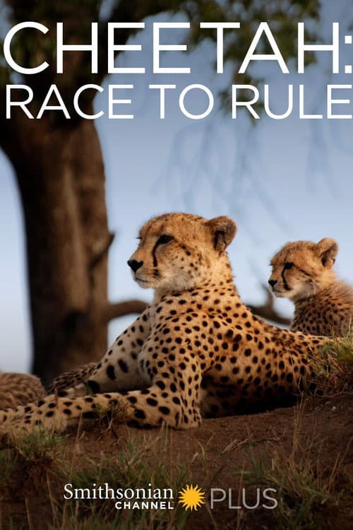 Poster for Cheetah: Race to Rule