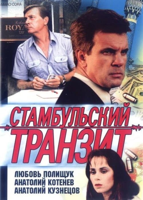 Poster for Istanbul Transit