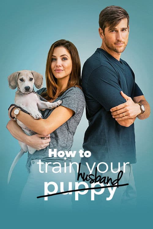 Poster for How to Train Your Husband