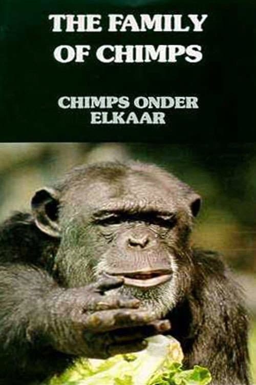 Poster for The Family of Chimps