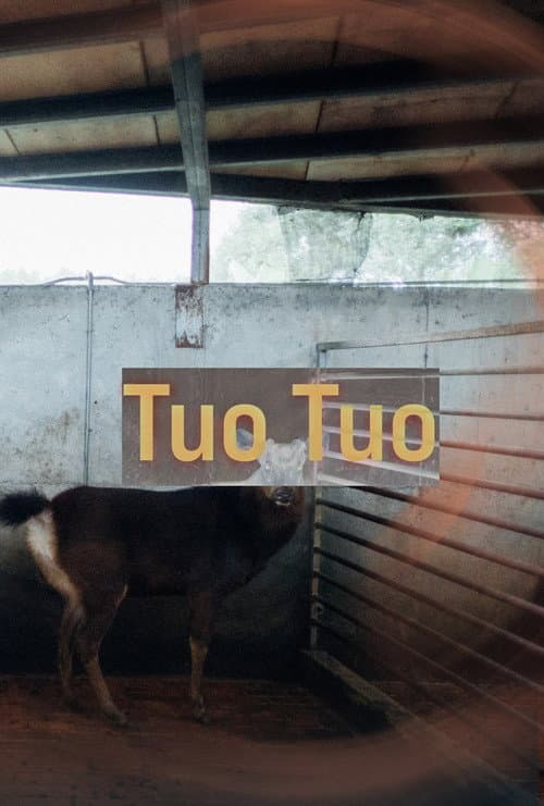 Poster for Tuo Tuo