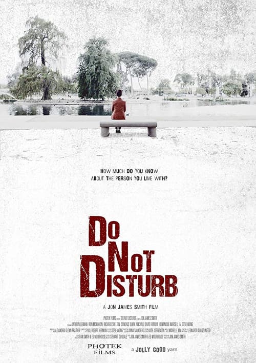 Poster for Do Not Disturb