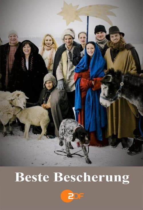 Постер до фільму «Beste Bescherung»
