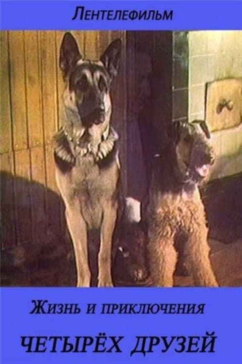 Poster for The Life and Adventures of Four Friends 3/4