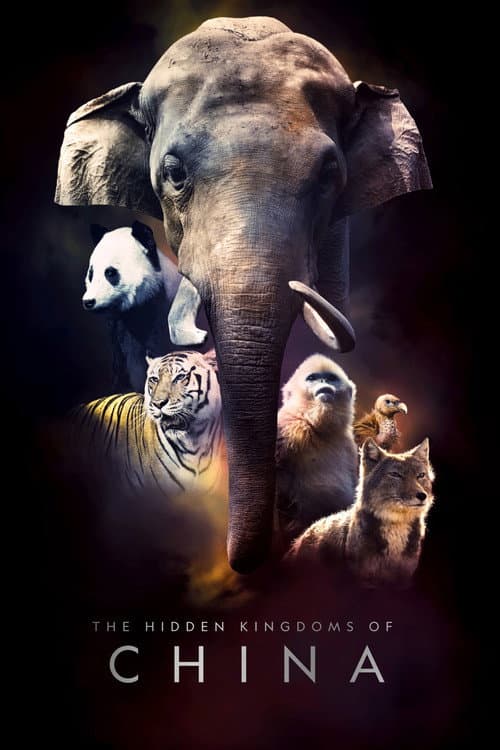 Poster for The Hidden Kingdoms of China