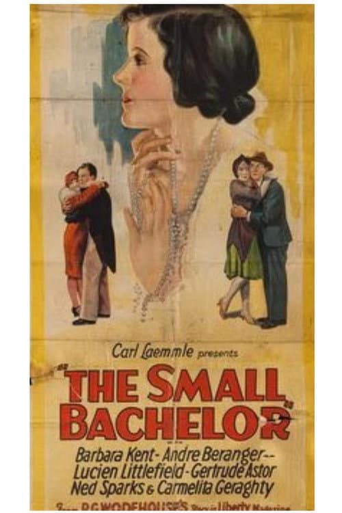 Poster for The Small Bachelor