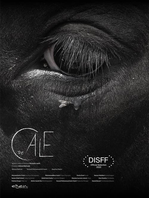 Poster for The Calf