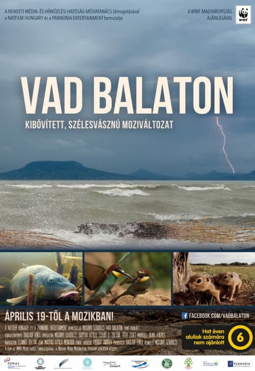 Poster for Balaton