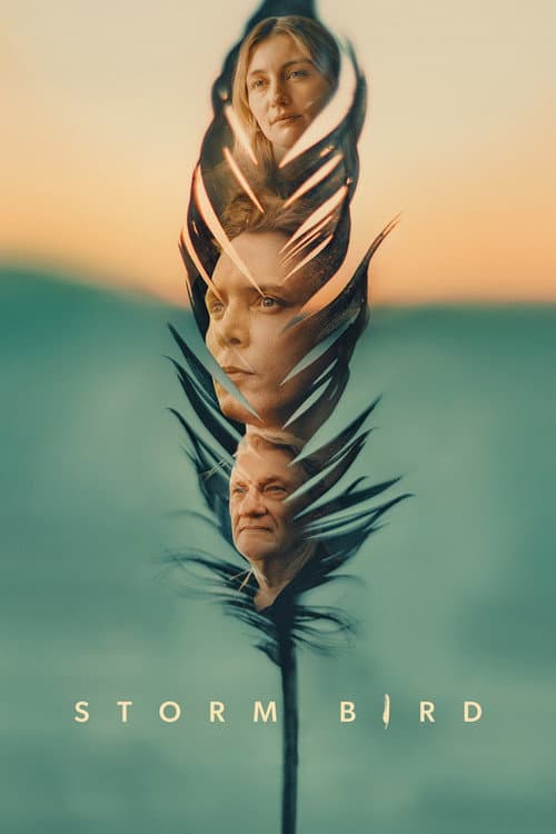Poster for Storm Bird
