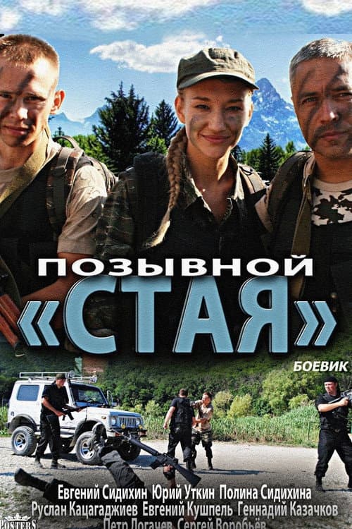 Poster for Позывной «Стая»