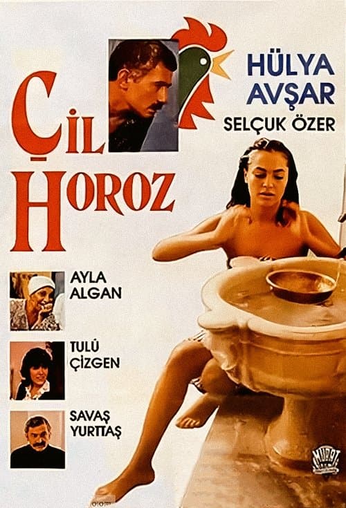 Poster for Çil Horoz