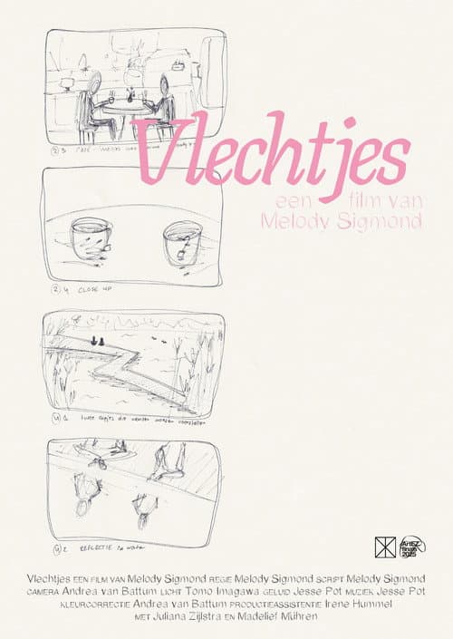 Poster for Vlechtjes
