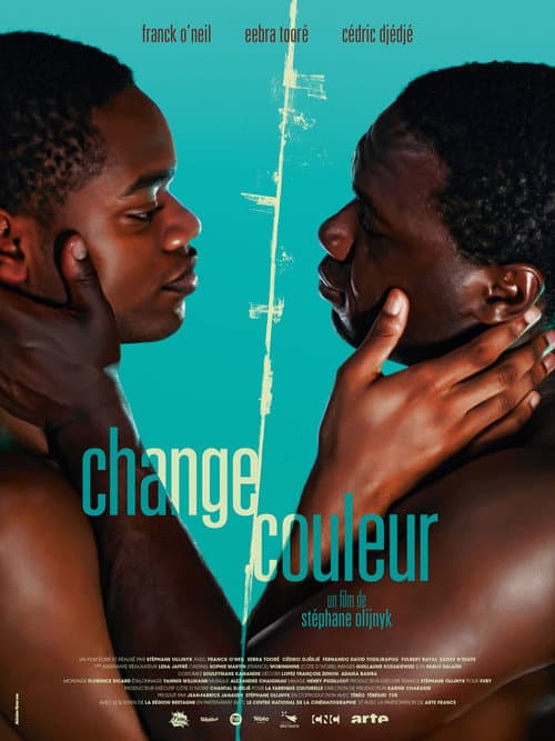 Poster for Chameleon